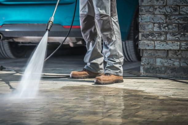 Best Gutter Cleaning  in Winterset, IA